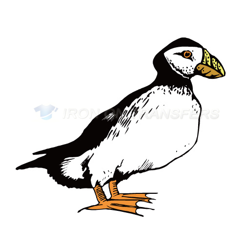 Birds Iron-on Stickers (Heat Transfers)NO.2161